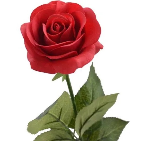 pinkinfrench